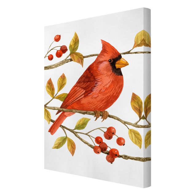 Obrazy retro Ptaki i jagody - Czerwony kardynał