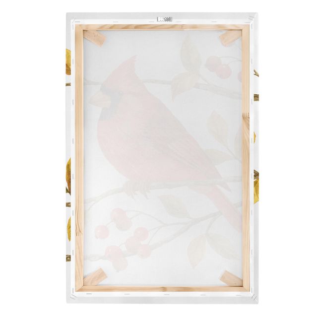 Obrazy ptaki na płótnie Ptaki i jagody - Czerwony kardynał