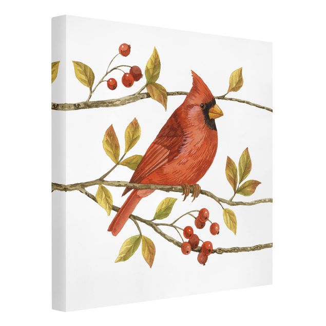 Obrazy zwierzęta Ptaki i jagody - Czerwony kardynał