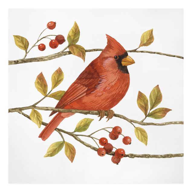Obrazy vintage Ptaki i jagody - Czerwony kardynał