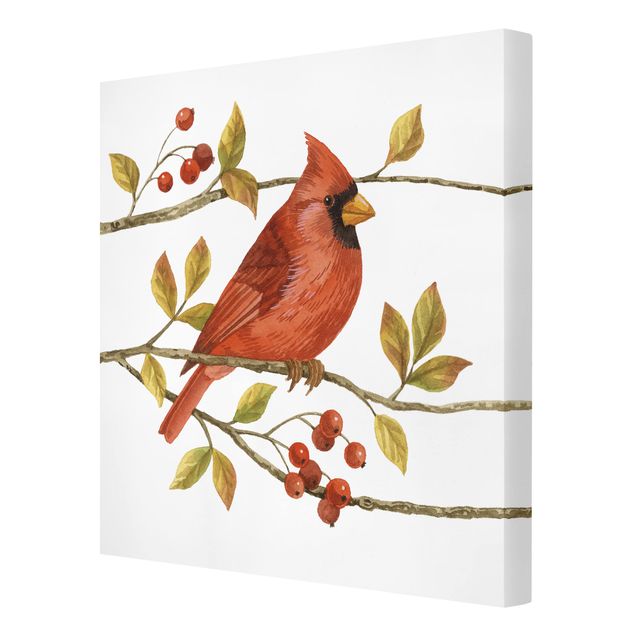 Obrazy retro Ptaki i jagody - Czerwony kardynał
