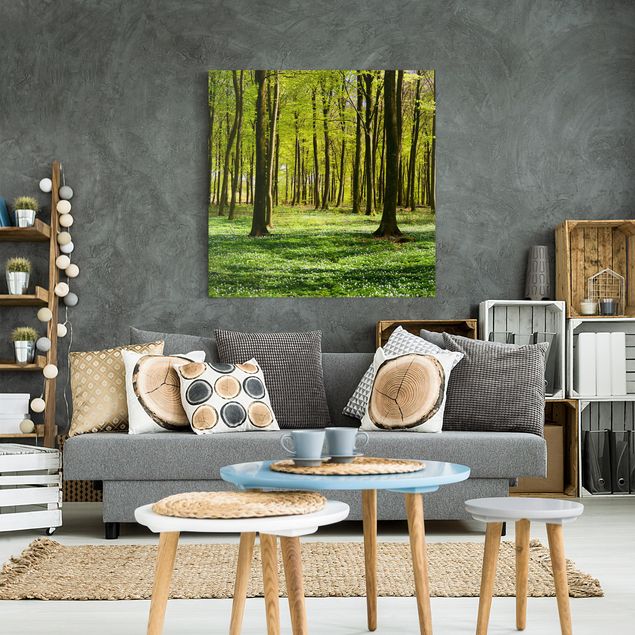 Obrazy nowoczesny Łąka leśna