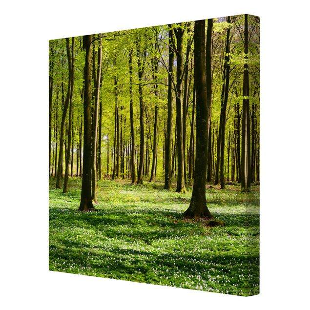 Zielony obraz Łąka leśna
