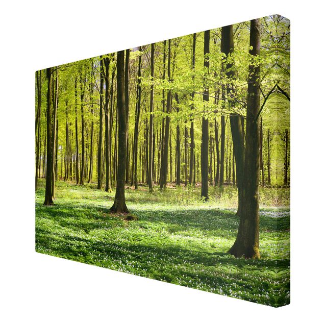 Zielony obraz Łąka leśna