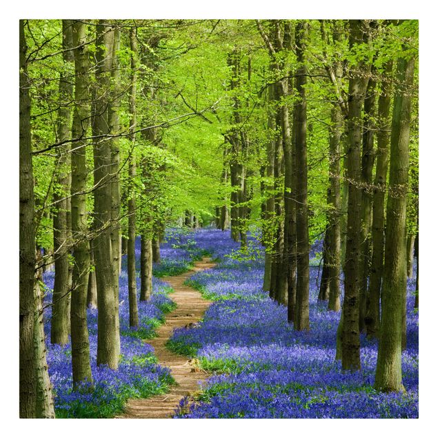 Obrazy krajobraz Szlak pieszy w Hertfordshire