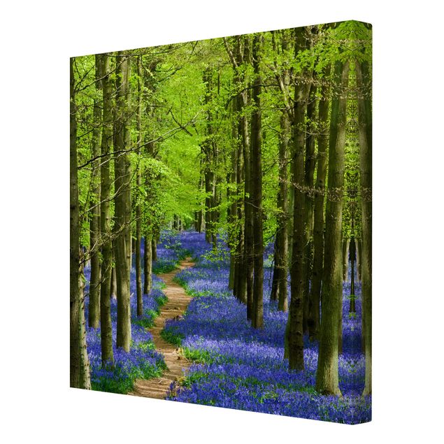 Zielony obraz Szlak pieszy w Hertfordshire