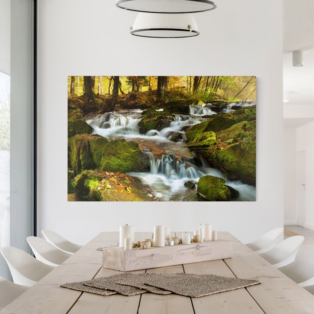 Obrazy do salonu nowoczesne Wodospad jesienny las