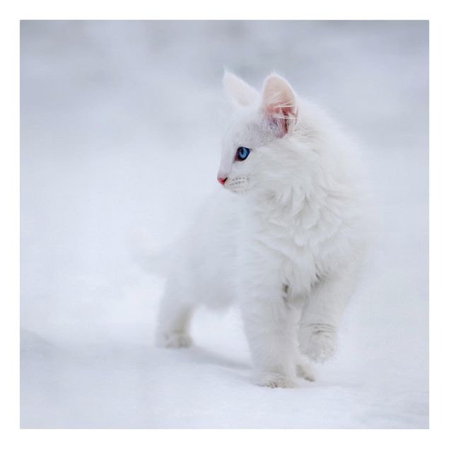 Obrazy ze zwierzętami Biały jak śnieg