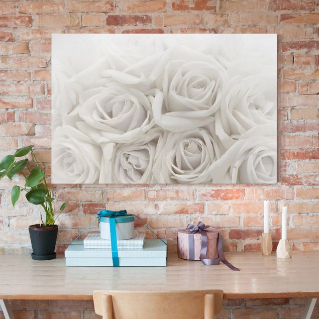 Obrazy na płótnie róże Białe róże