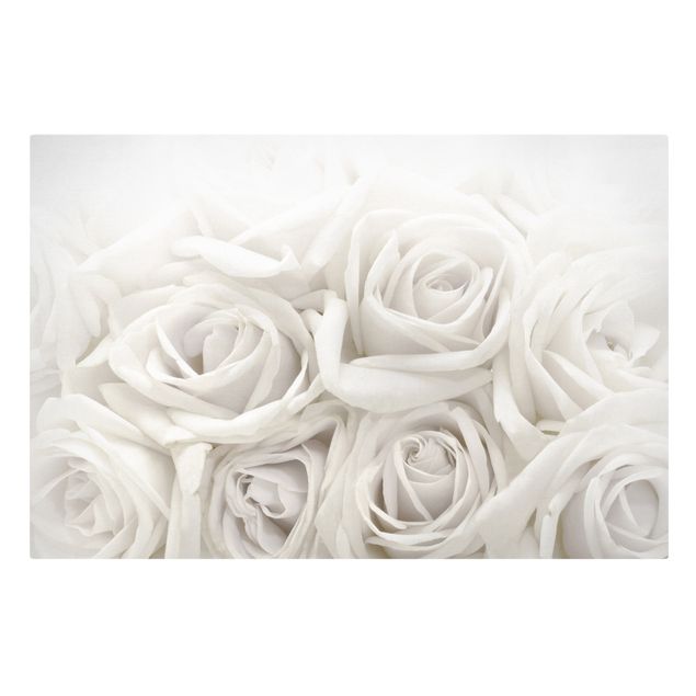 Obrazy kwiatowe Białe róże