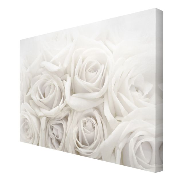 Obrazy na ścianę Białe róże