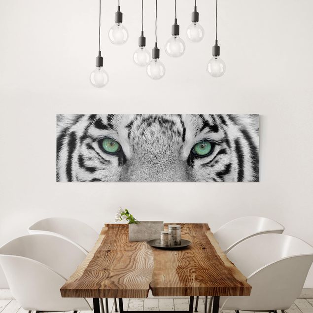 Obrazy nowoczesny Biały tygrys