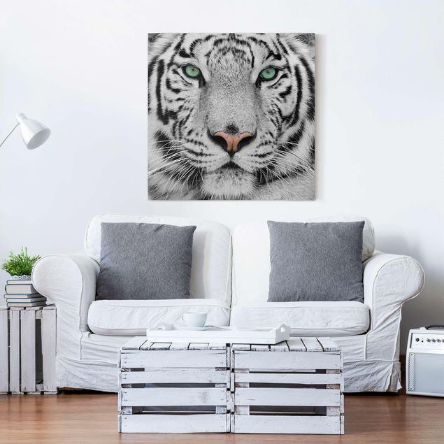 Nowoczesne obrazy do salonu Biały tygrys
