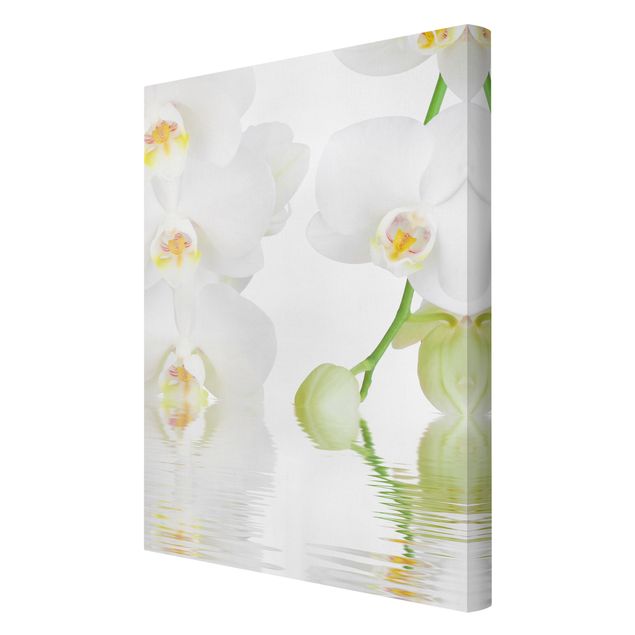 Obrazy motywy kwiatowe Orchidea wellness - Orchidea biała