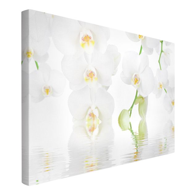 Obrazy na płótnie orchidea Orchidea wellness - Orchidea biała