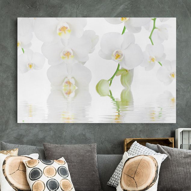 Nowoczesne obrazy do salonu Orchidea wellness - Orchidea biała