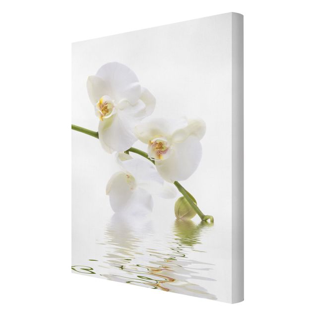 Obrazy motywy kwiatowe Wody białej orchidei