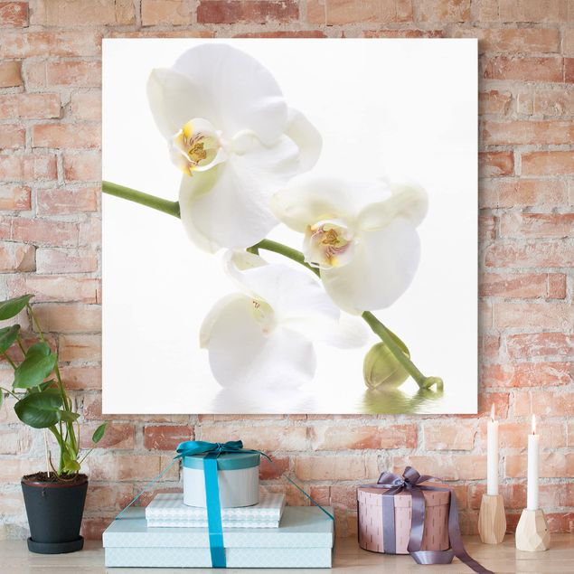 Nowoczesne obrazy do salonu Wody białej orchidei