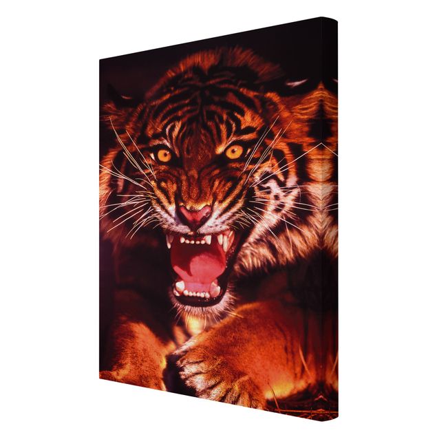 Obraz kota na płótnie Dziki tygrys