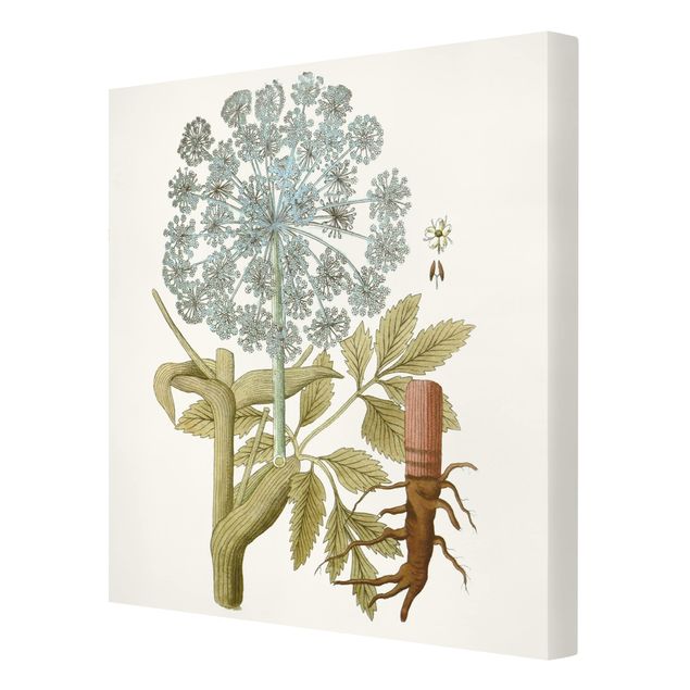 Obrazy motywy kwiatowe Dzikie zioła tablica III