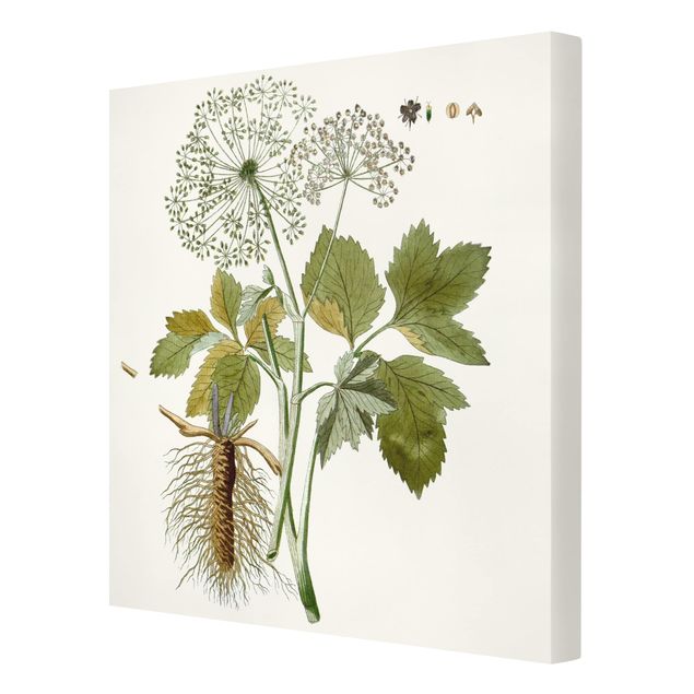 Obrazy kwiatowe Dzikie zioła tablica IV