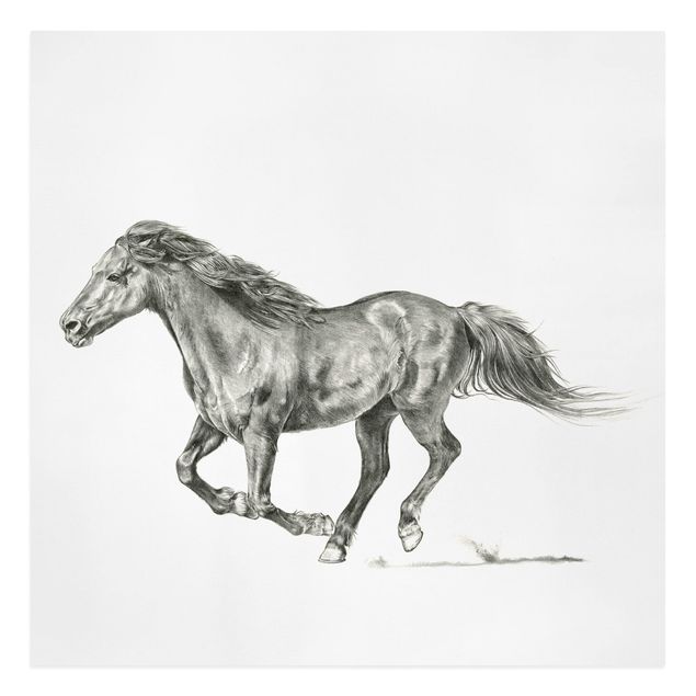 Obrazy ze zwierzętami Badanie dzikich koni - klacz