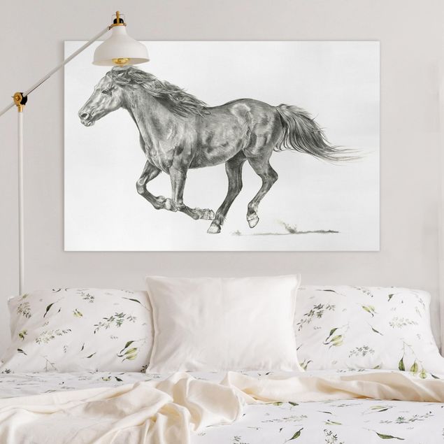 Obrazy nowoczesny Badanie dzikich koni - klacz