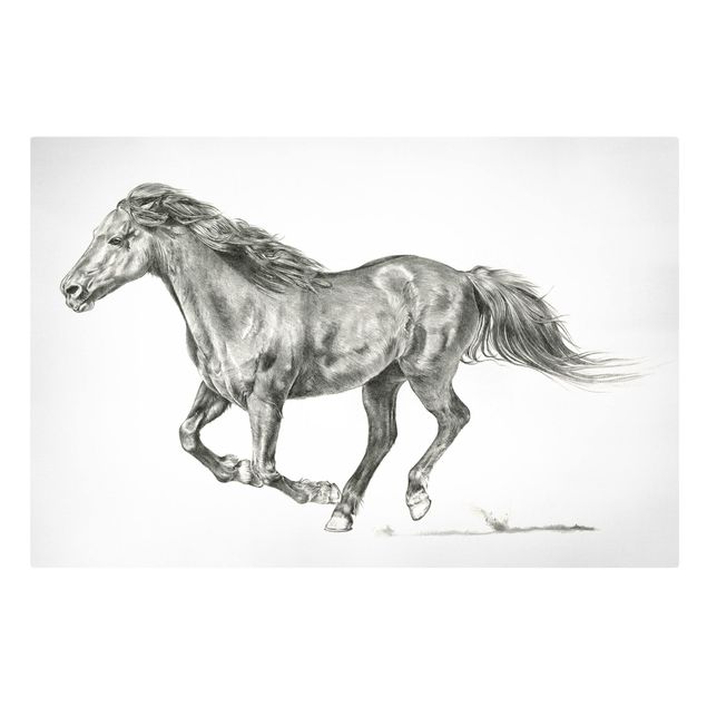 Obrazy ze zwierzętami Badanie dzikich koni - klacz