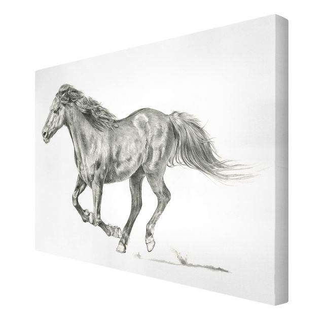 Obraz na płótnie konie Badanie dzikich koni - klacz