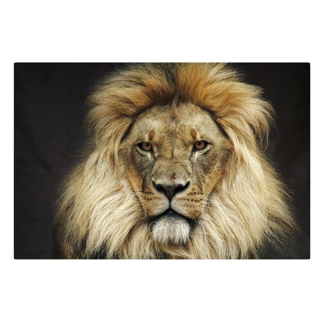 Obraz lwa Mądrość lwa