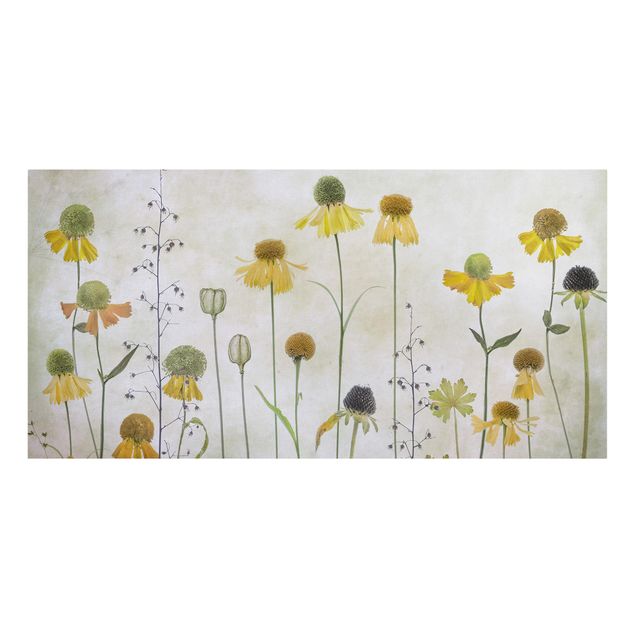 Obrazy retro Czułe kwiaty Helenium