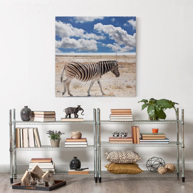 Obrazy do salonu Zebra na sawannie