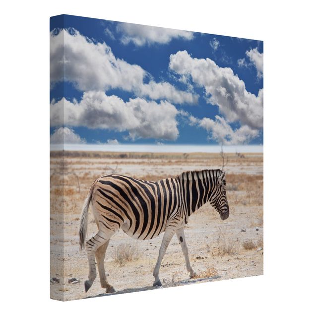 Obrazy krajobraz Zebra na sawannie