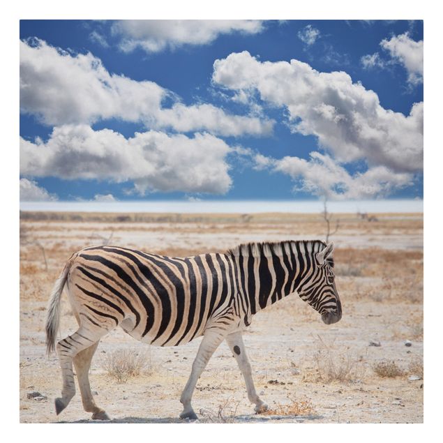 Obrazy zwierzęta Zebra na sawannie