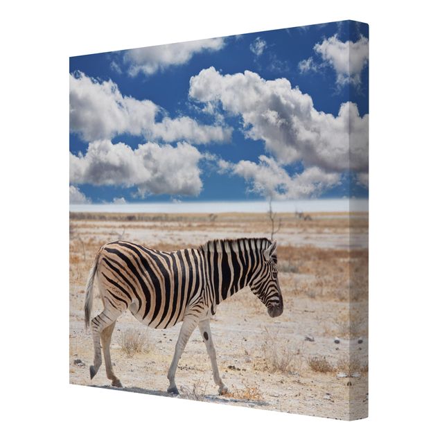 Obrazy Afryka Zebra na sawannie