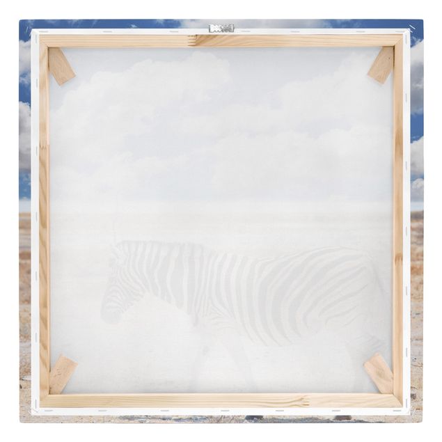 Zebra obraz Zebra na sawannie
