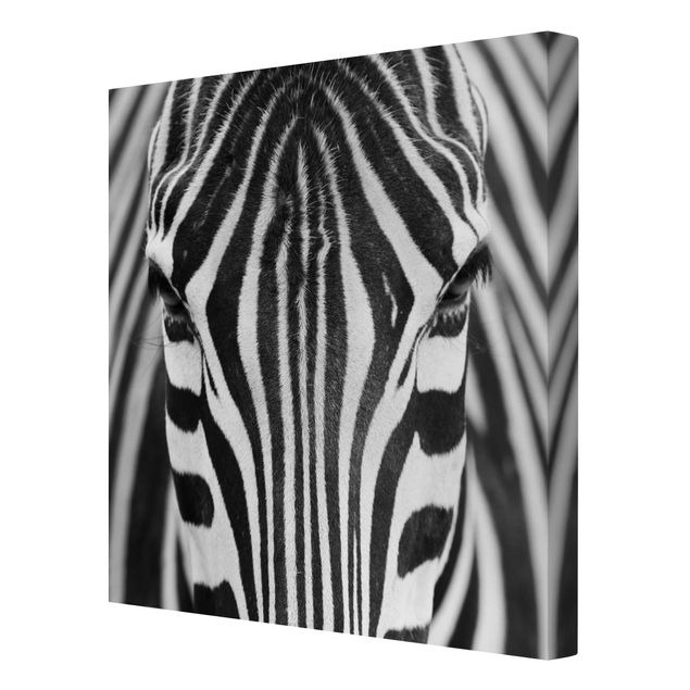 Zebra obraz Zebra Look