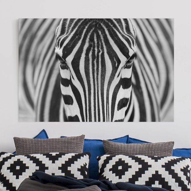 Obrazy do salonu Zebra Look