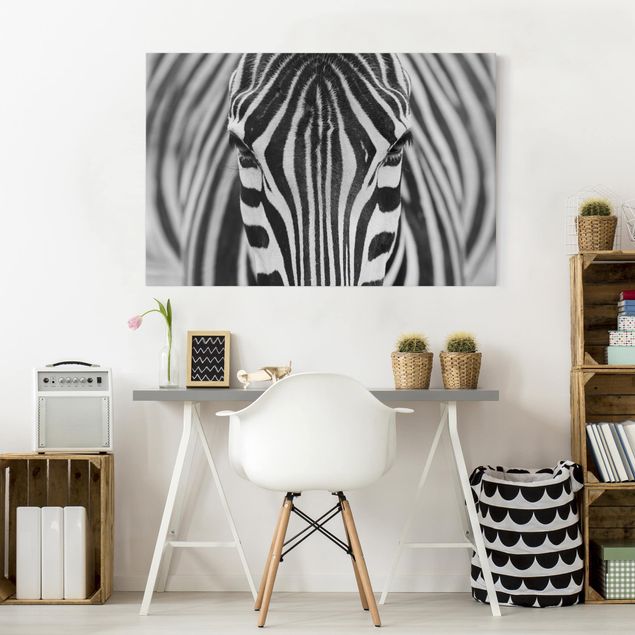 Obrazy nowoczesne Zebra Look