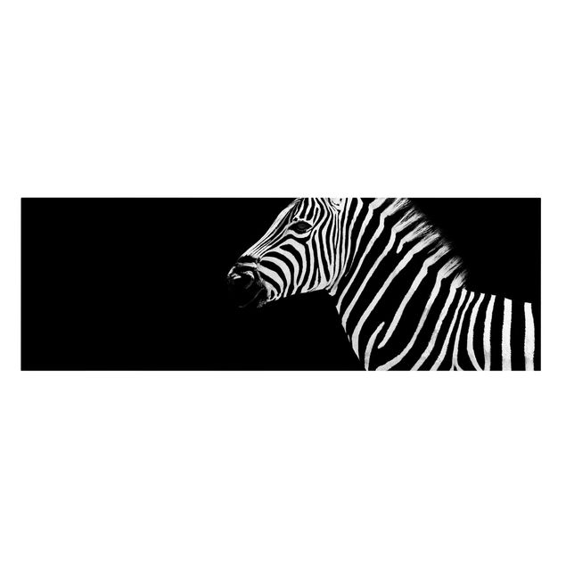 Obrazy afryka Zebra Safari Art