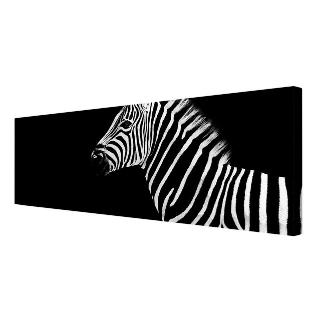 Zebra obraz Zebra Safari Art