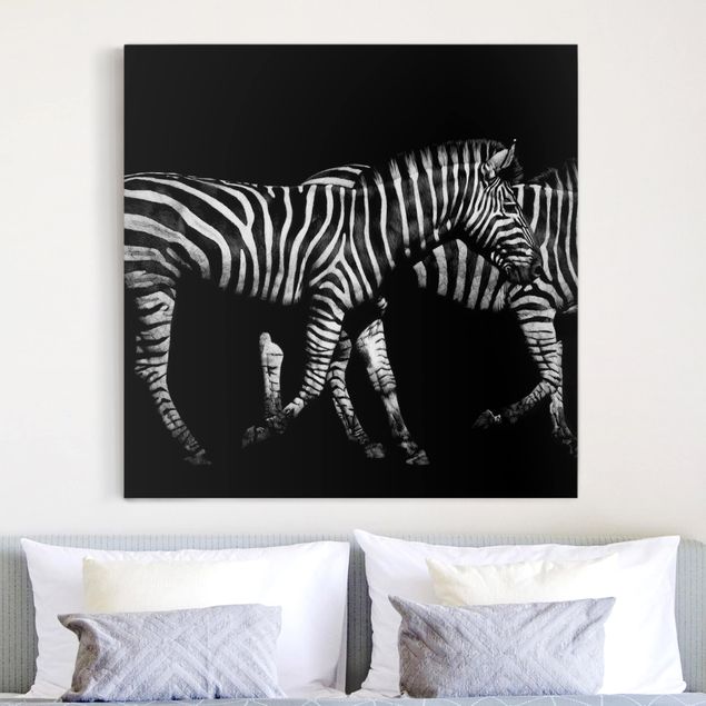 Obrazy do salonu nowoczesne Zebra przed Czarnym