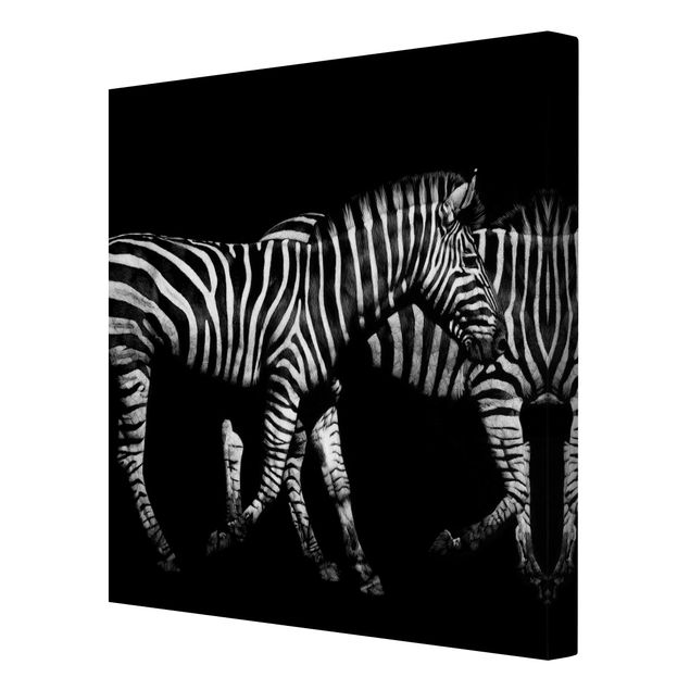 Obrazy na płótnie zebra Zebra przed Czarnym