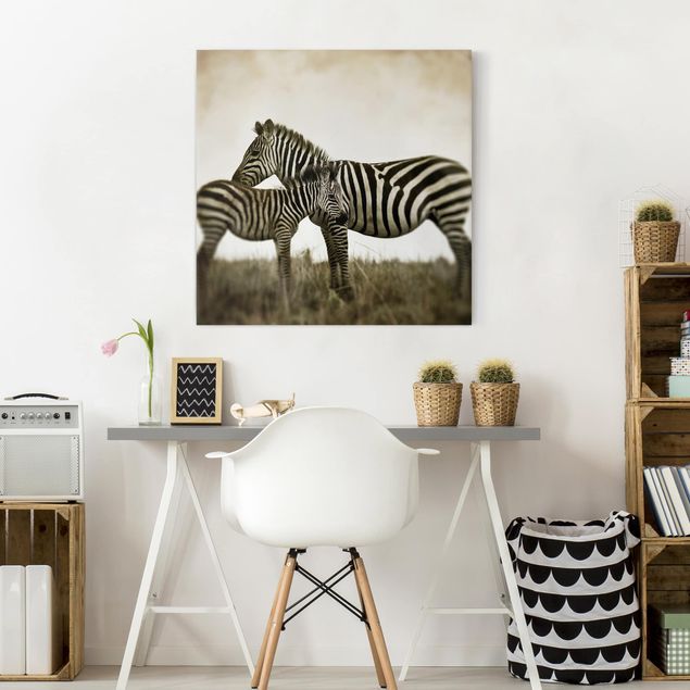 Obrazy nowoczesny Para zebr