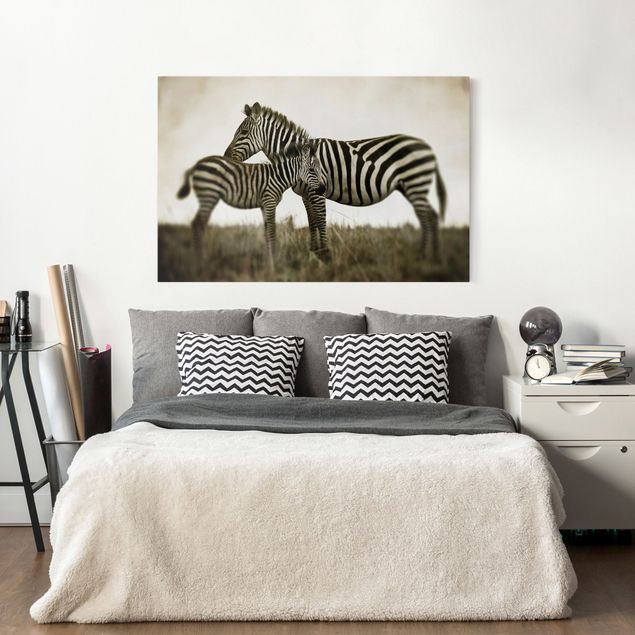 Obrazy nowoczesny Para zebr
