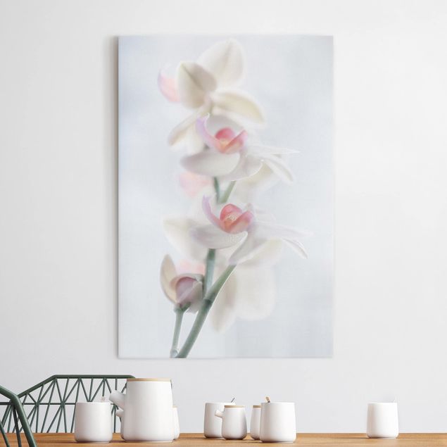 Obrazy do salonu Fragile Orchid