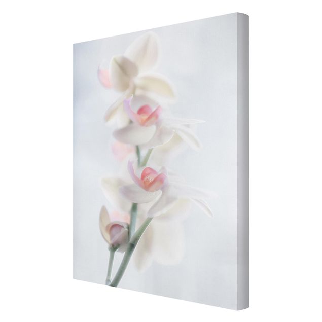 Obrazy kwiatowe Fragile Orchid