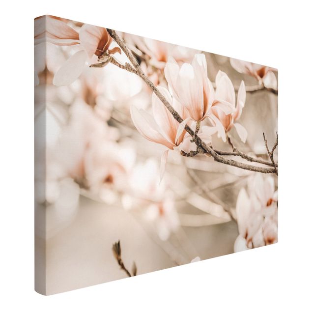 Drzewo obraz Gałązki magnolii w stylu vintage