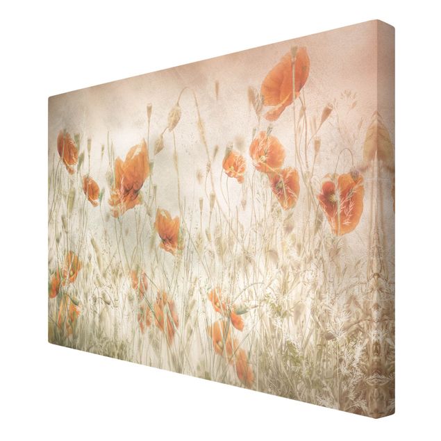 Obrazy motywy kwiatowe Maki i trawy na polu