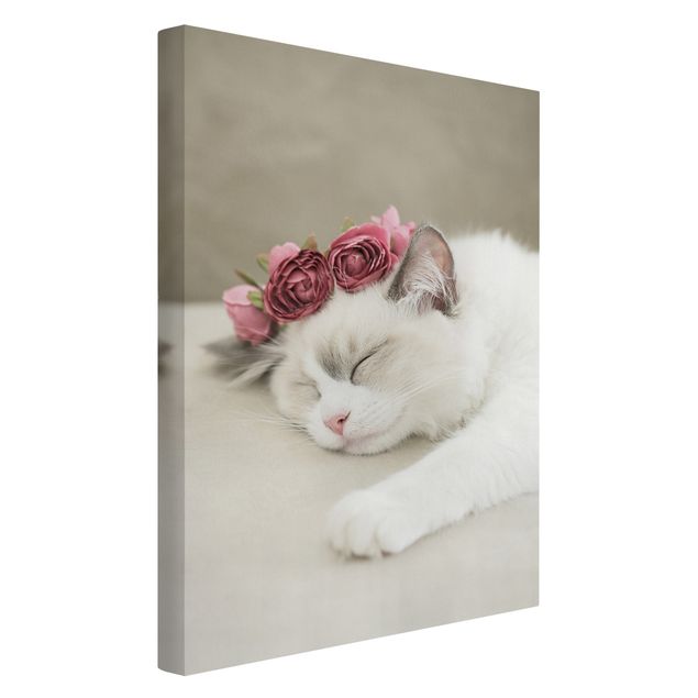 Obrazy koty Śpiący kot z różami